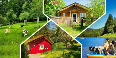 Das Leben im Hundeurlaub in Brangs Ferienhäuser, exklusiv für Hundebesitzer