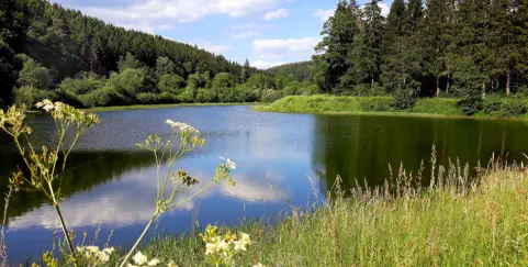 Stausee in Jünkerath auch zum Baden im Urlaub mit Hund