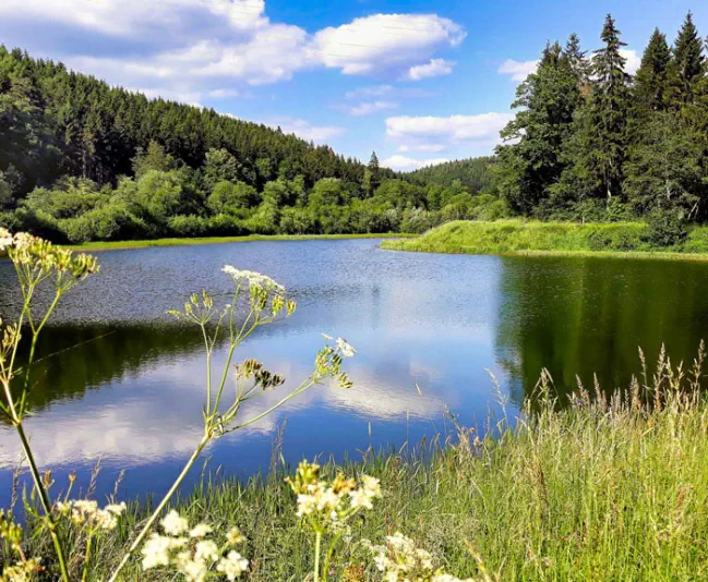 Stausee in Jünkerath- Baden für Mensch und Hund